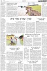 Page-6