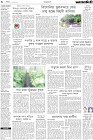 Page-6
