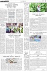 Page-3