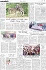 Page-3