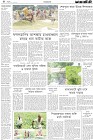 Page-4
