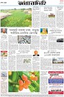 Page-12