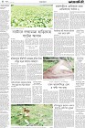 Page-4