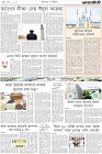 Page-8
