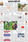 Page-8