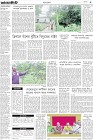 Page-3-(6-9-2022)