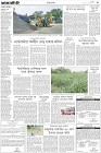 Page-3-(3-10--2022)