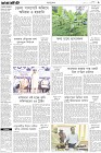 Page-3-(29-10-2022)