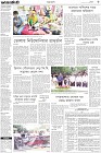 Page-3-(4-11-2022)