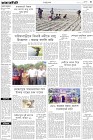 Page-3-(8-11-2022)