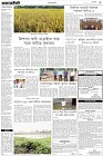 Page-3-(29-11-2022)