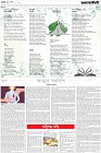 Molat-2-(15-12-2022)
