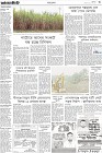 Page-3-(3-1-2023)