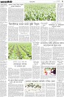 Page-3-(19-1-2023)