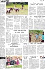 Page-3-(31-01-2023)