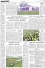 Page-3-(12-02-2023)