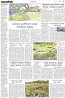 Page-3-(10-03-2023)