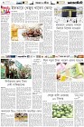 Page-6-(30-03-2023)