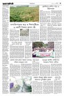 Page-3-(29-04-2023)