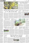 Page-3-(12-05-2023)