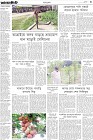 Page-3-(15-05-2023)