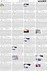 Page-4-(22-5-2023)