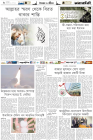 Page-6-(23-07-2023)