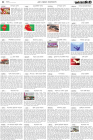 Page-4-(6-08-2023)