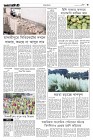 Page-3-(23-09-2023)