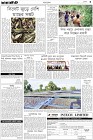 Page-3-(03-10-2023)