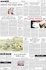Page-3-(5-12-2023)
