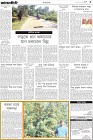 Page-3-(6-12-2023)