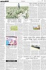 Page-3-(24-02-2024)