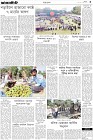 Page-3-(8-03-2024)