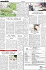 Page-3- (05-06-2024)