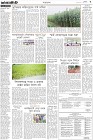 Page-7- (13-07-2024)