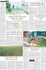 Page-3- (23-07-2024)