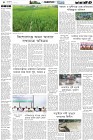 Page-4- (02-10-2024)
