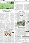 Page-5- (06-11-2024)
