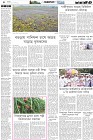 Page-4- (09-11-2024)