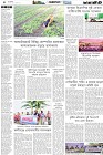 Page-12- (20-11-2024)