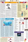 Page-3- (03-01-2025)