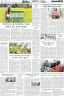 Page-5- (20-02-2025)