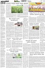 Page-3- (01-03-2025)