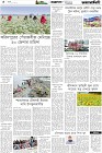 Page-4- (08-03-2025)