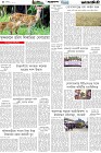 Page-4- (20-03-2025)
