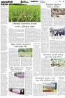 Page-3- (02-05-2025)