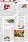 Page-5- (08-05-2025)