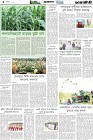 Page-4- (11-05-2025)