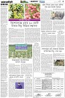 Page-3- (13-05-2025)
